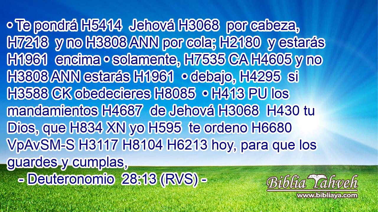 • Te pondrá H5414  Jehová H3068  por cabeza, H7218  y no H3808 ANN por cola; H2180  y estarás H1961  encima • solamente, H7535 CA H4605 y no H3808 ANN estarás H1961  • debajo, H4295  si H3588 CK obedecieres H8085  • H413 PU los mandamientos H4687  de Jehová H3068  H430 tu Dios, que H834 XN yo H595  te ordeno H6680 VpAvSM-S H3117 H8104 H6213 hoy, para que los guardes y cumplas, 