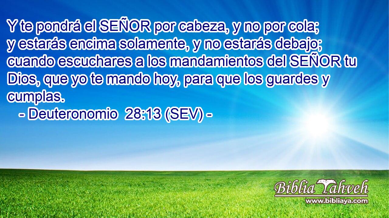 Y te pondrá el SEÑOR por cabeza, y no por cola; y estarás encima solamente, y no estarás debajo; cuando escuchares a los mandamientos del SEÑOR tu Dios, que yo te mando hoy, para que los guardes y cumplas.