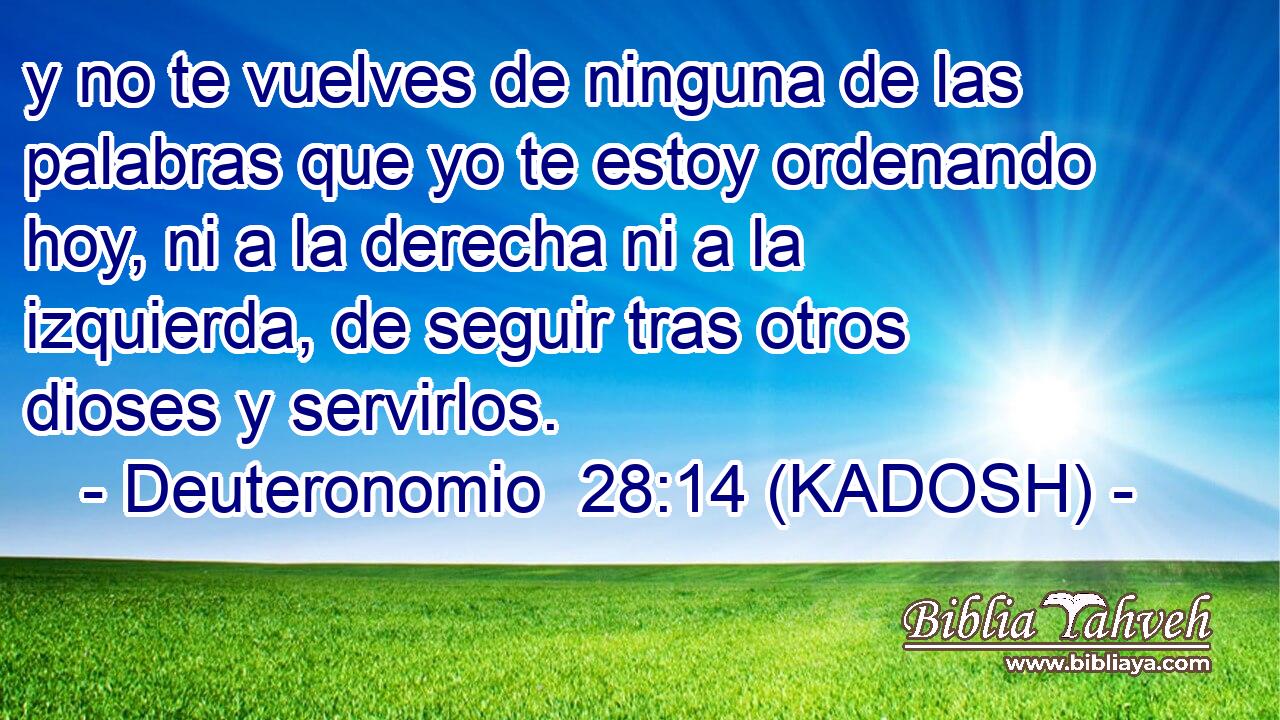  y no te vuelves de ninguna de las palabras que yo te estoy ordenando hoy, ni a la derecha ni a la izquierda, de seguir tras otros dioses y servirlos. 