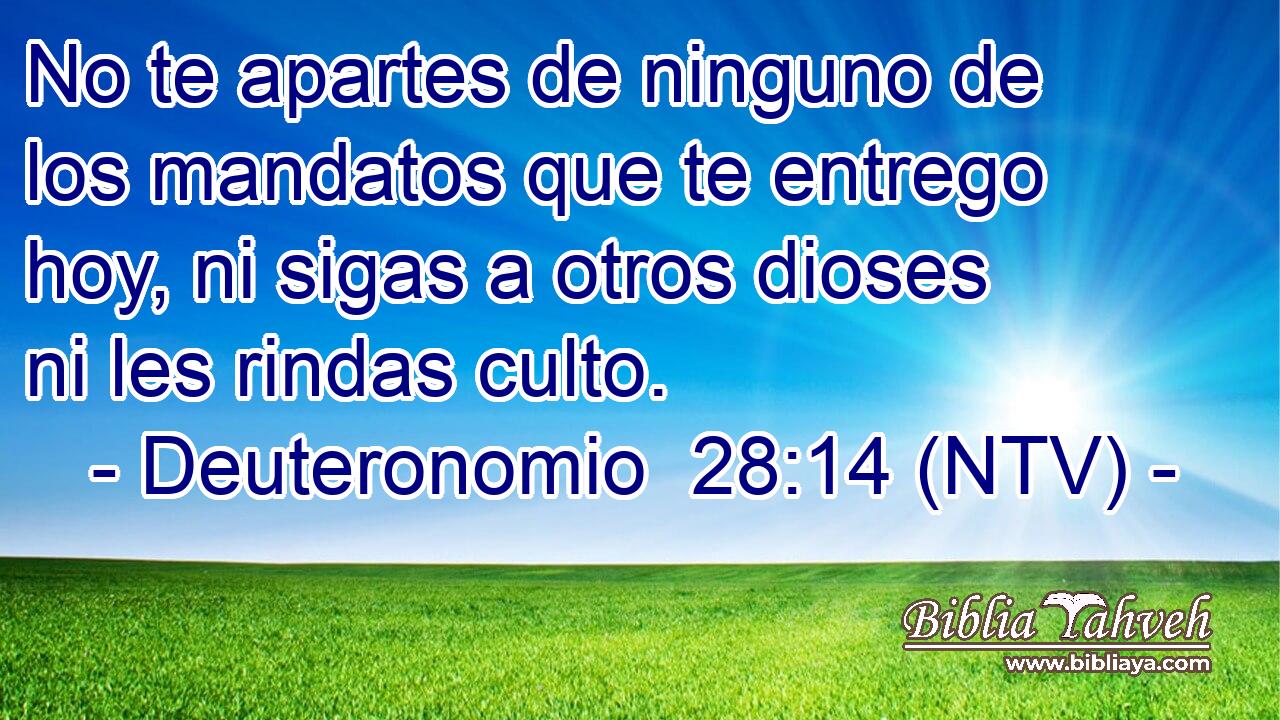 No te apartes de ninguno de los mandatos que te entrego hoy, ni sigas a otros dioses ni les rindas culto.