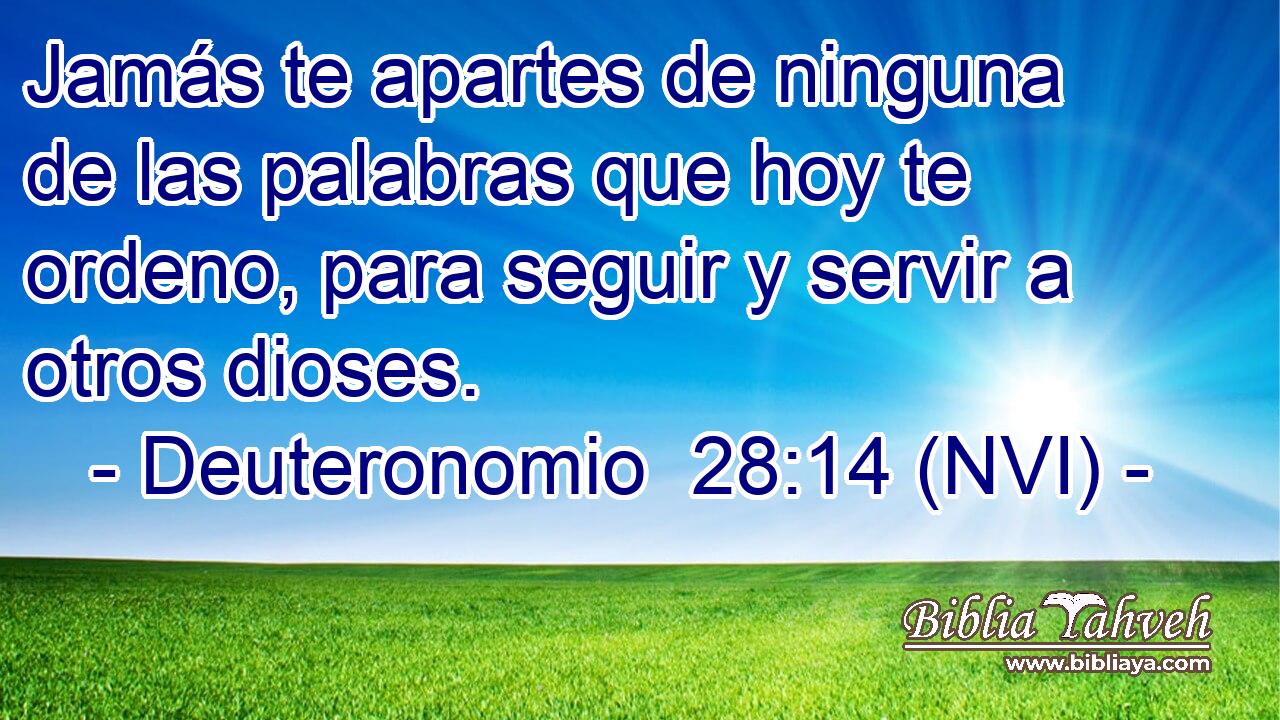  Jamás te apartes de ninguna de las palabras que hoy te ordeno, para seguir y servir a otros dioses. 