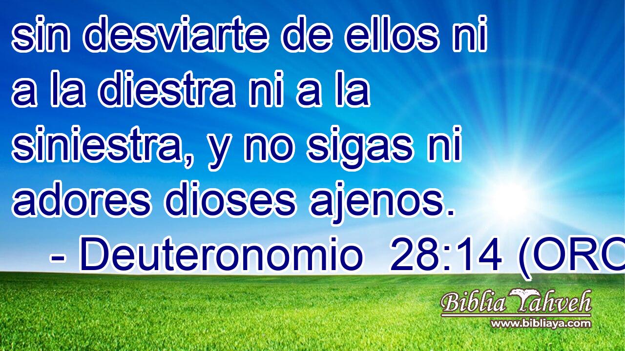  sin desviarte de ellos ni a la diestra ni a la siniestra, y no sigas ni adores dioses ajenos. 