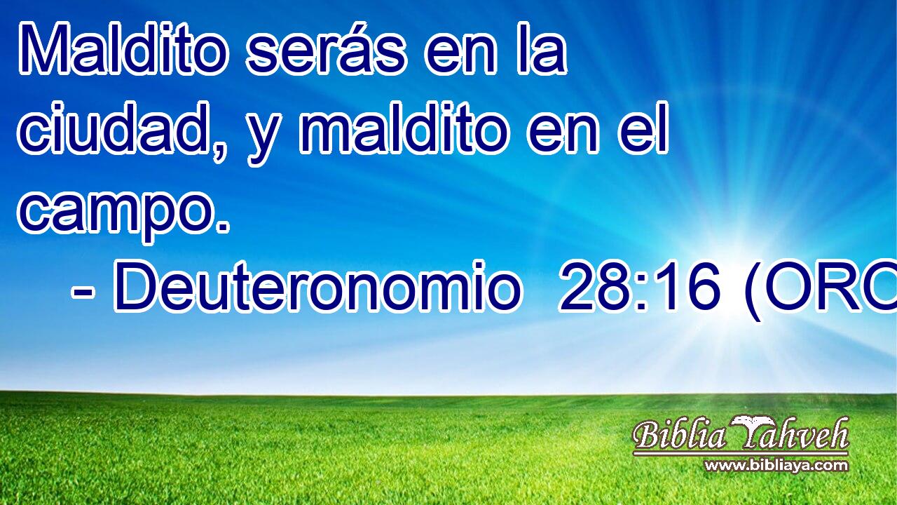  Maldito serás en la ciudad, y maldito en el campo. 