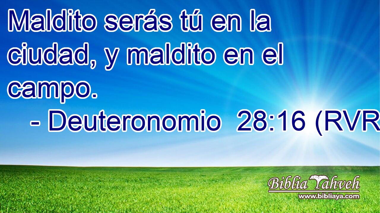 Maldito serás tú en la ciudad, y maldito en el campo.