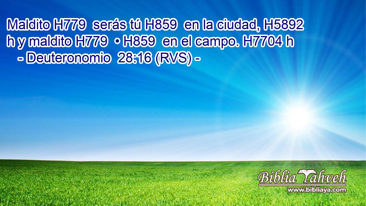 Maldito H779  serás tú H859  en la ciudad, H5892 h y maldito H779  • H859  en el campo. H7704 h 