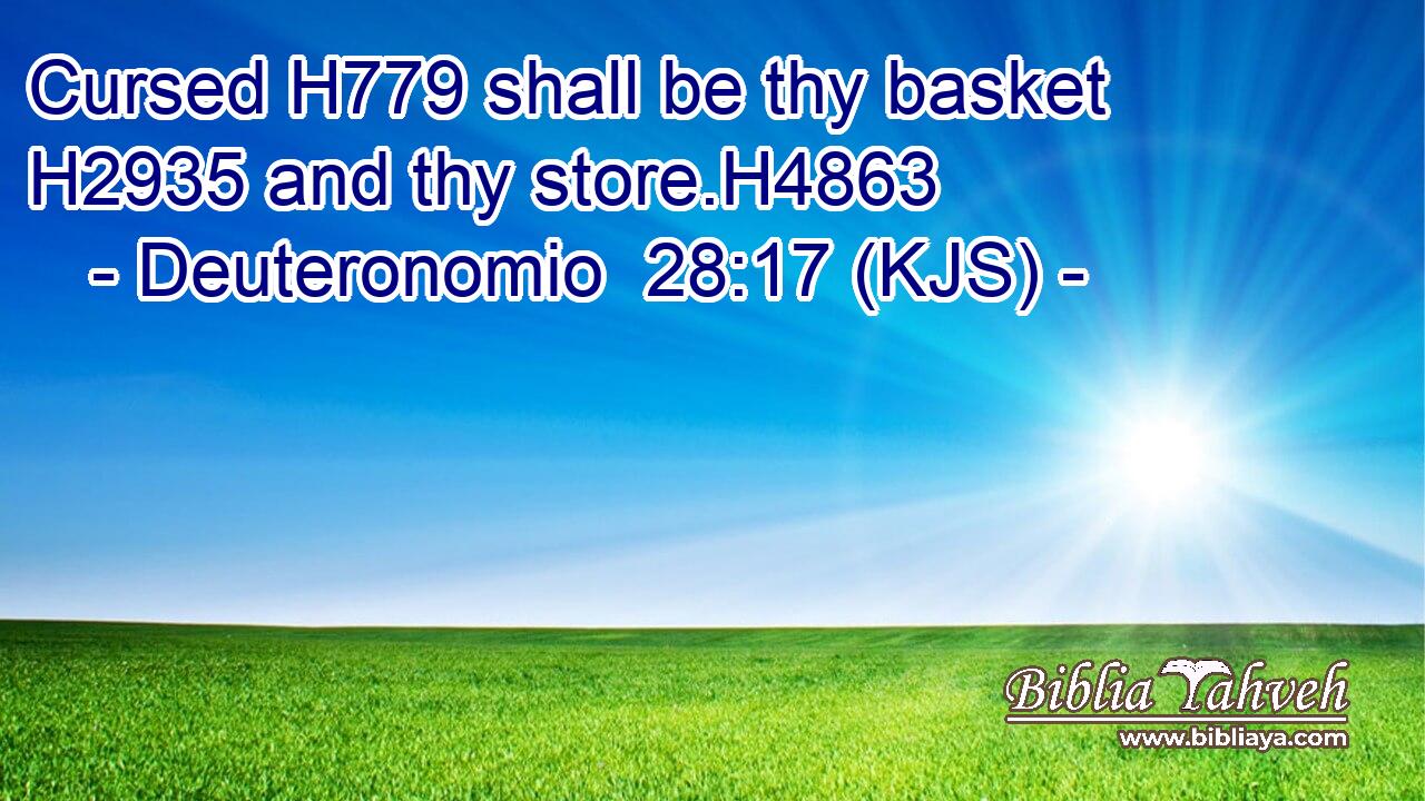 Cursed H779 shall be thy basket H2935 and thy store.H4863