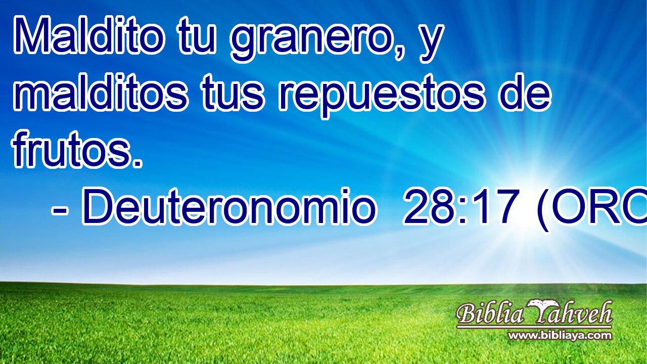  Maldito tu granero, y malditos tus repuestos de frutos. 
