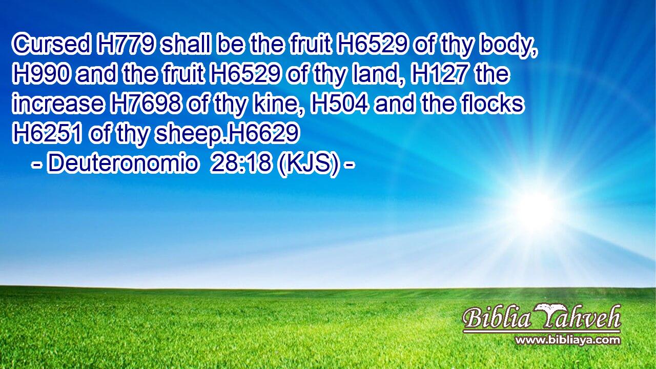 Cursed H779 shall be the fruit H6529 of thy body, H990 and the fruit H6529 of thy land, H127 the increase H7698 of thy kine, H504 and the flocks H6251 of thy sheep.H6629