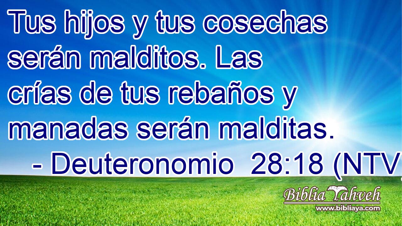 Tus hijos y tus cosechas serán malditos. Las crías de tus rebaños y manadas serán malditas.
