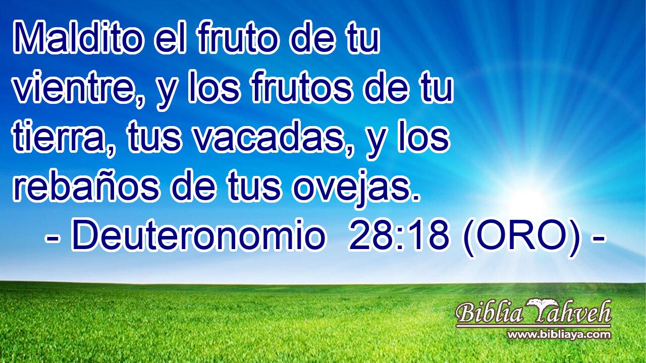  Maldito el fruto de tu vientre, y los frutos de tu tierra, tus vacadas, y los rebaños de tus ovejas. 