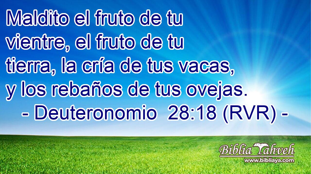 Maldito el fruto de tu vientre, el fruto de tu tierra, la cría de tus vacas, y los rebaños de tus ovejas.