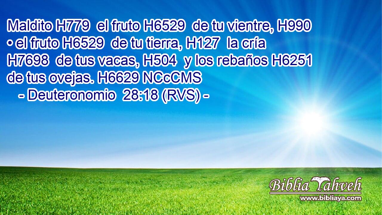 Maldito H779  el fruto H6529  de tu vientre, H990  • el fruto H6529  de tu tierra, H127  la cría H7698  de tus vacas, H504  y los rebaños H6251  de tus ovejas. H6629 NCcCMS 
