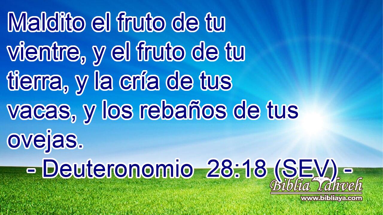 Maldito el fruto de tu vientre, y el fruto de tu tierra, y la cría de tus vacas, y los rebaños de tus ovejas.
