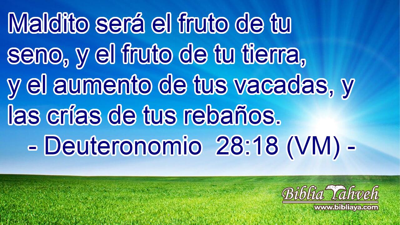  Maldito será el fruto de tu seno, y el fruto de tu tierra, y el aumento de tus vacadas, y las crías de tus rebaños. 