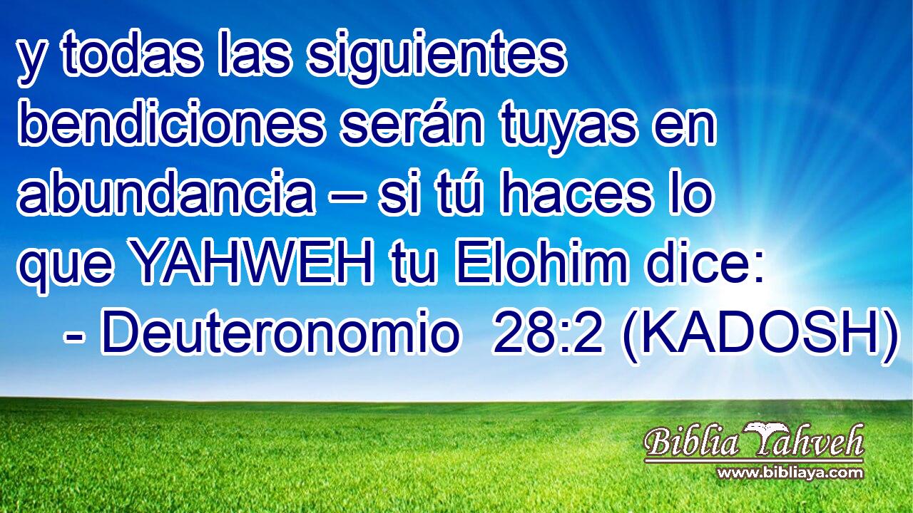  y todas las siguientes bendiciones serán tuyas en abundancia – si tú haces lo que YAHWEH tu Elohim dice: 