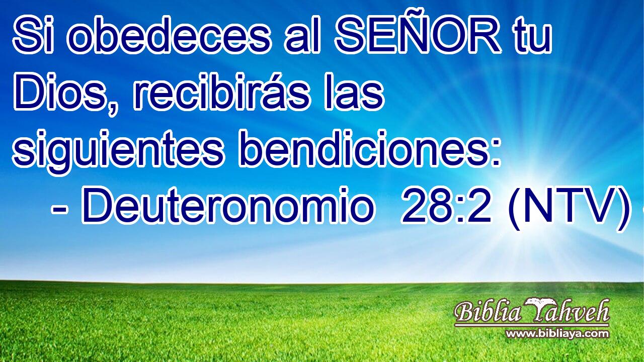 Si obedeces al SEÑOR tu Dios, recibirás las siguientes bendiciones: