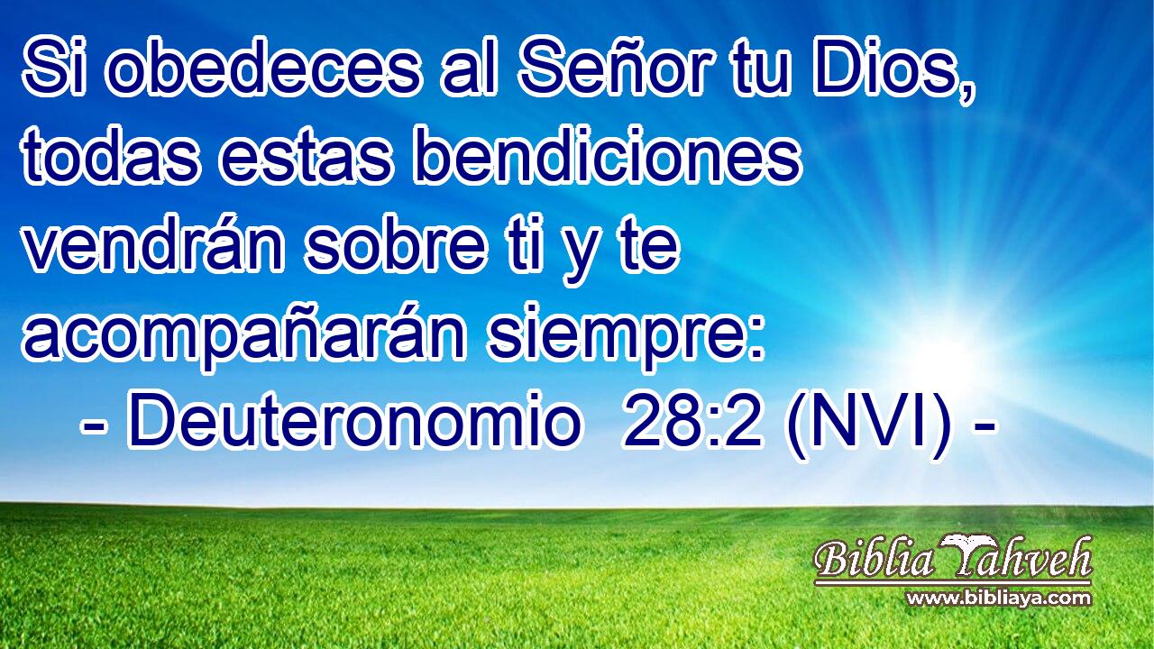  Si obedeces al Señor tu Dios, todas estas bendiciones vendrán sobre ti y te acompañarán siempre: 