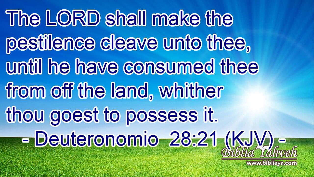 The LORD shall make the pestilence cleave unto thee, until he have consumed thee from off the land, whither thou goest to possess it.