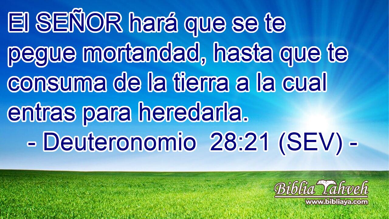 El SEÑOR hará que se te pegue mortandad, hasta que te consuma de la tierra a la cual entras para heredarla.