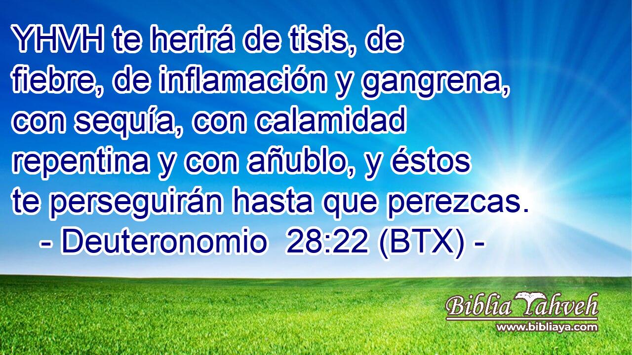 YHVH te herirá de tisis, de fiebre, de inflamación y gangrena, con sequía, con calamidad repentina y con añublo, y éstos te perseguirán hasta que perezcas.