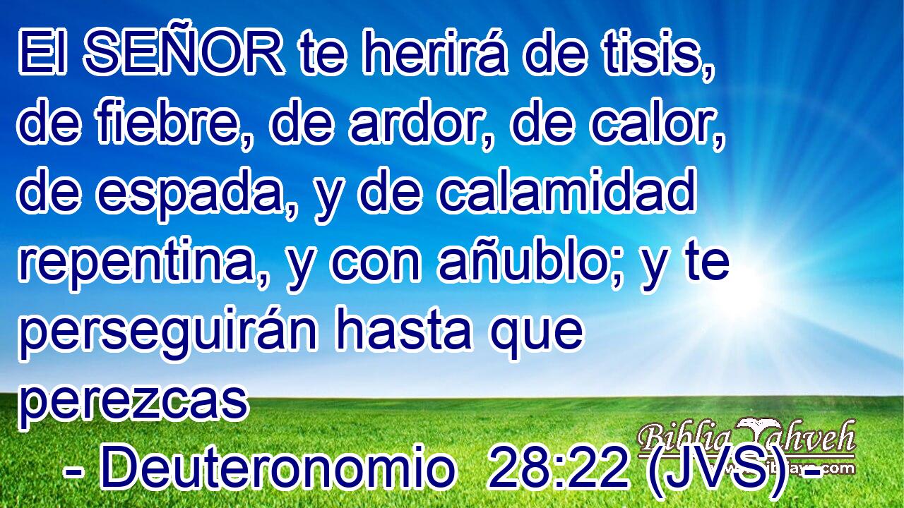 El SEÑOR te herirá de tisis, de fiebre, de ardor, de calor, de espada, y de calamidad repentina, y con añublo; y te perseguirán hasta que perezcas