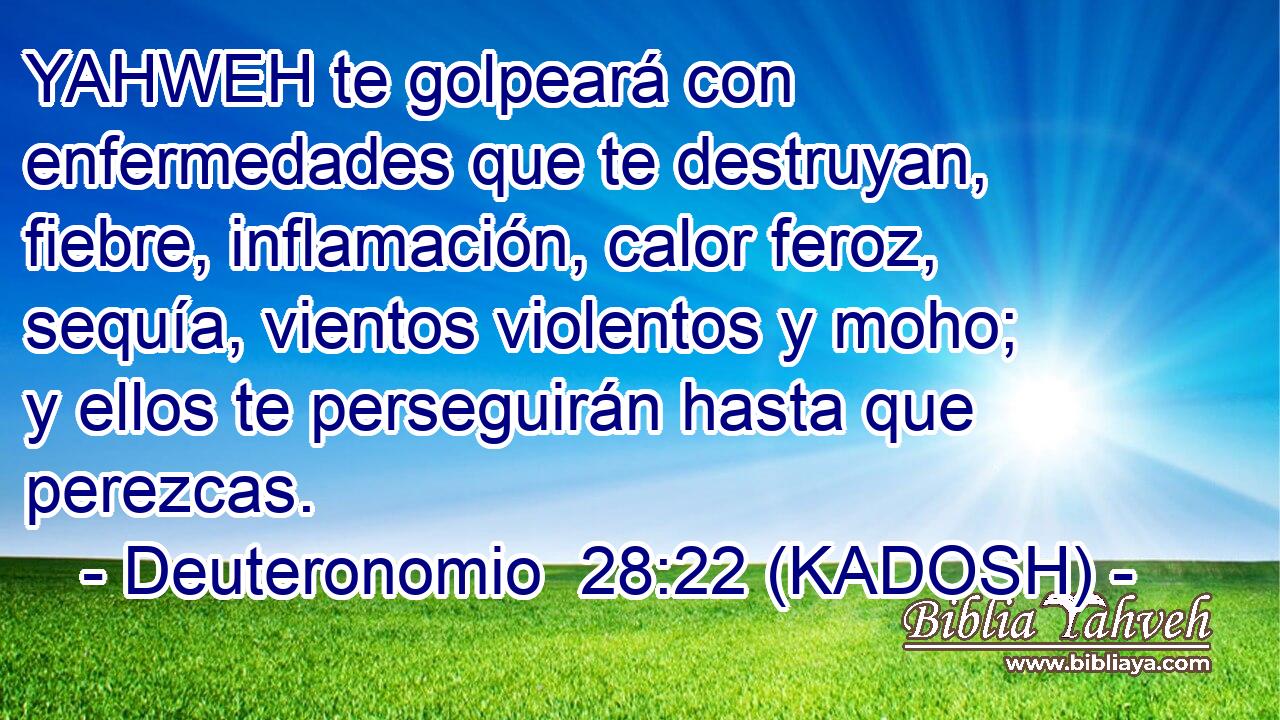  YAHWEH te golpeará con enfermedades que te destruyan, fiebre, inflamación, calor feroz, sequía, vientos violentos y moho; y ellos te perseguirán hasta que perezcas. 