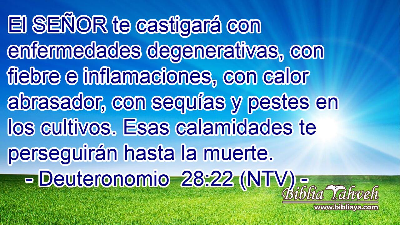 El SEÑOR te castigará con enfermedades degenerativas, con fiebre e inflamaciones, con calor abrasador, con sequías y pestes en los cultivos. Esas calamidades te perseguirán hasta la muerte.
