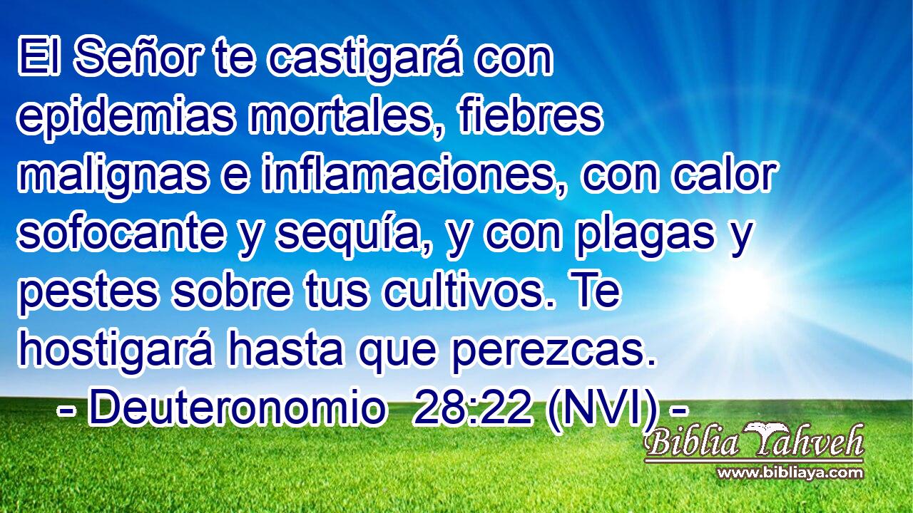  El Señor te castigará con epidemias mortales, fiebres malignas e inflamaciones, con calor sofocante y sequía, y con plagas y pestes sobre tus cultivos. Te hostigará hasta que perezcas. 