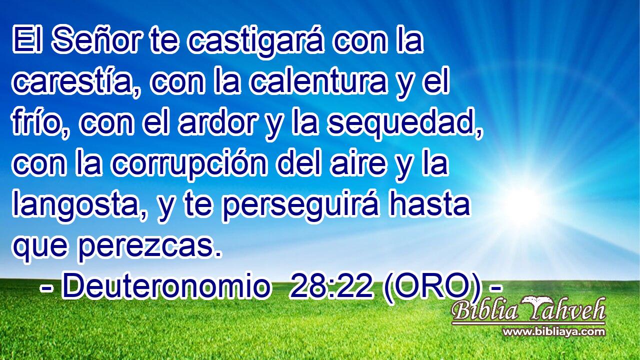 El Señor te castigará con la carestía, con la calentura y el frío, con el ardor y la sequedad, con la corrupción del aire y la langosta, y te perseguirá hasta que perezcas. 