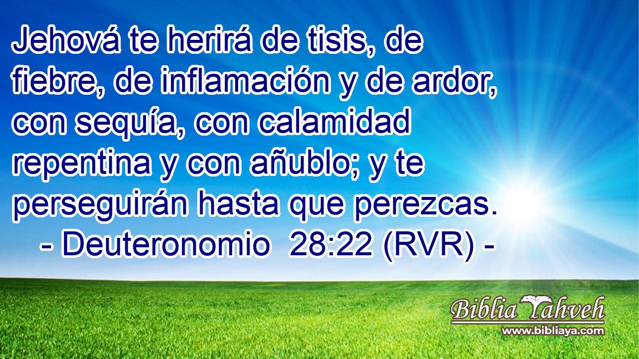Jehová te herirá de tisis, de fiebre, de inflamación y de ardor, con sequía, con calamidad repentina y con añublo; y te perseguirán hasta que perezcas.