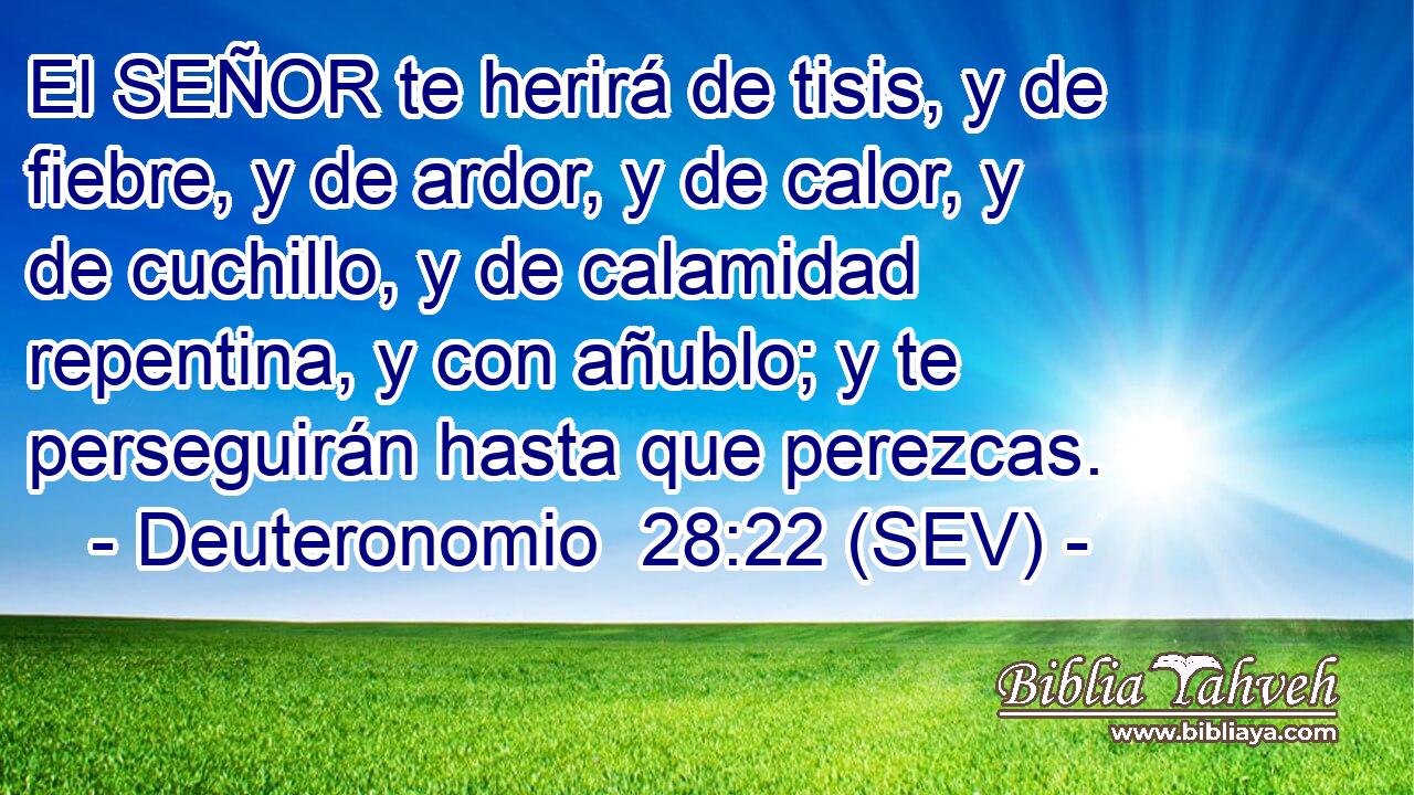 El SEÑOR te herirá de tisis, y de fiebre, y de ardor, y de calor, y de cuchillo, y de calamidad repentina, y con añublo; y te perseguirán hasta que perezcas.