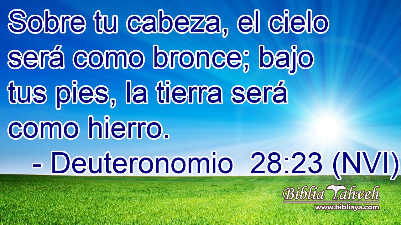  Sobre tu cabeza, el cielo será como bronce; bajo tus pies, la tierra será como hierro. 