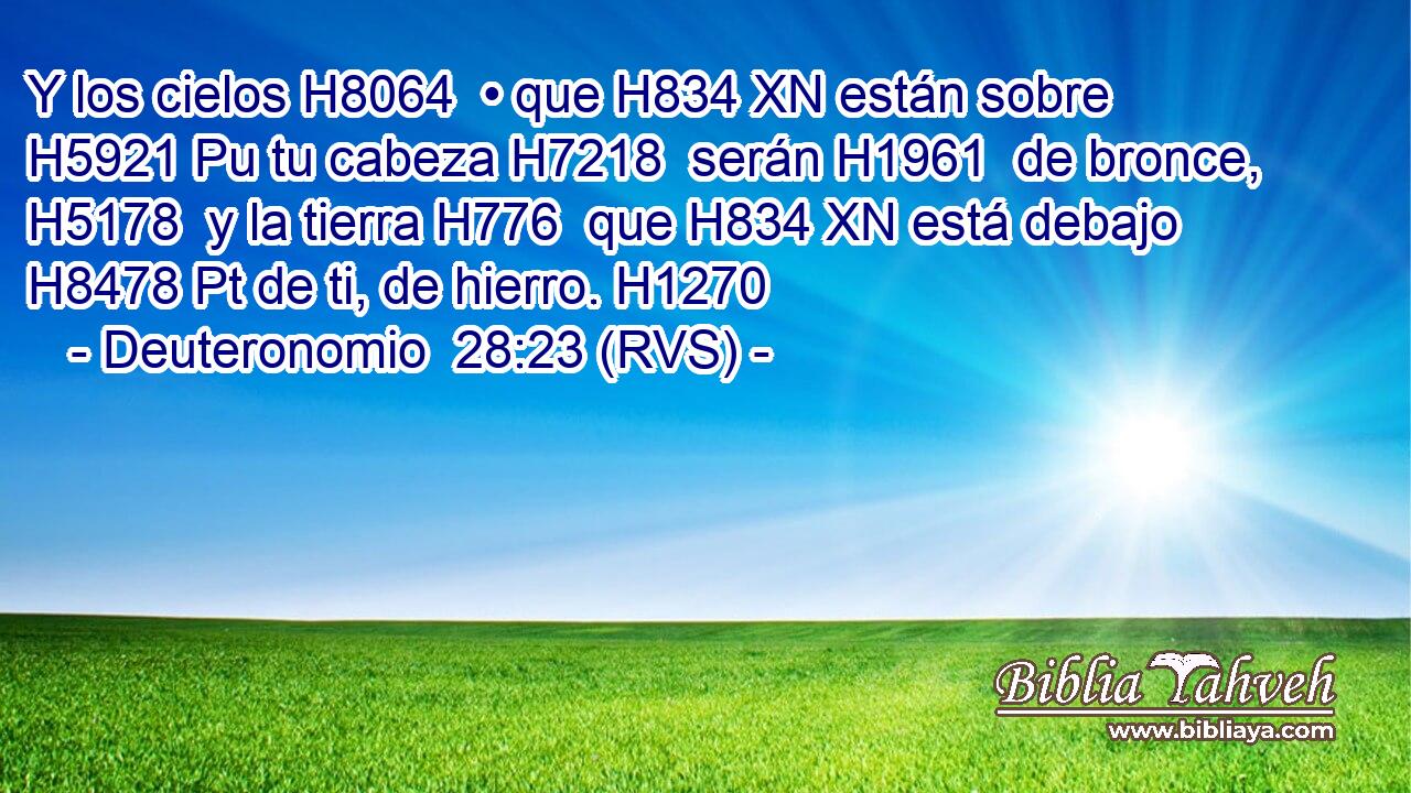 Y los cielos H8064  • que H834 XN están sobre H5921 Pu tu cabeza H7218  serán H1961  de bronce, H5178  y la tierra H776  que H834 XN está debajo H8478 Pt de ti, de hierro. H1270  