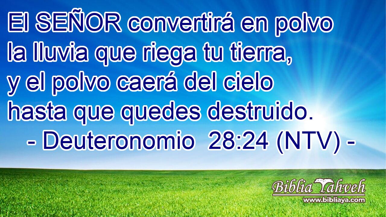 El SEÑOR convertirá en polvo la lluvia que riega tu tierra, y el polvo caerá del cielo hasta que quedes destruido.