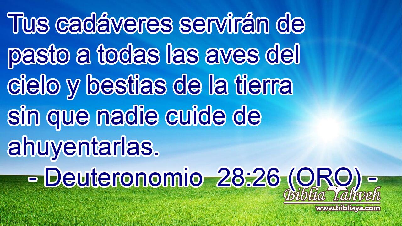  Tus cadáveres servirán de pasto a todas las aves del cielo y bestias de la tierra sin que nadie cuide de ahuyentarlas. 
