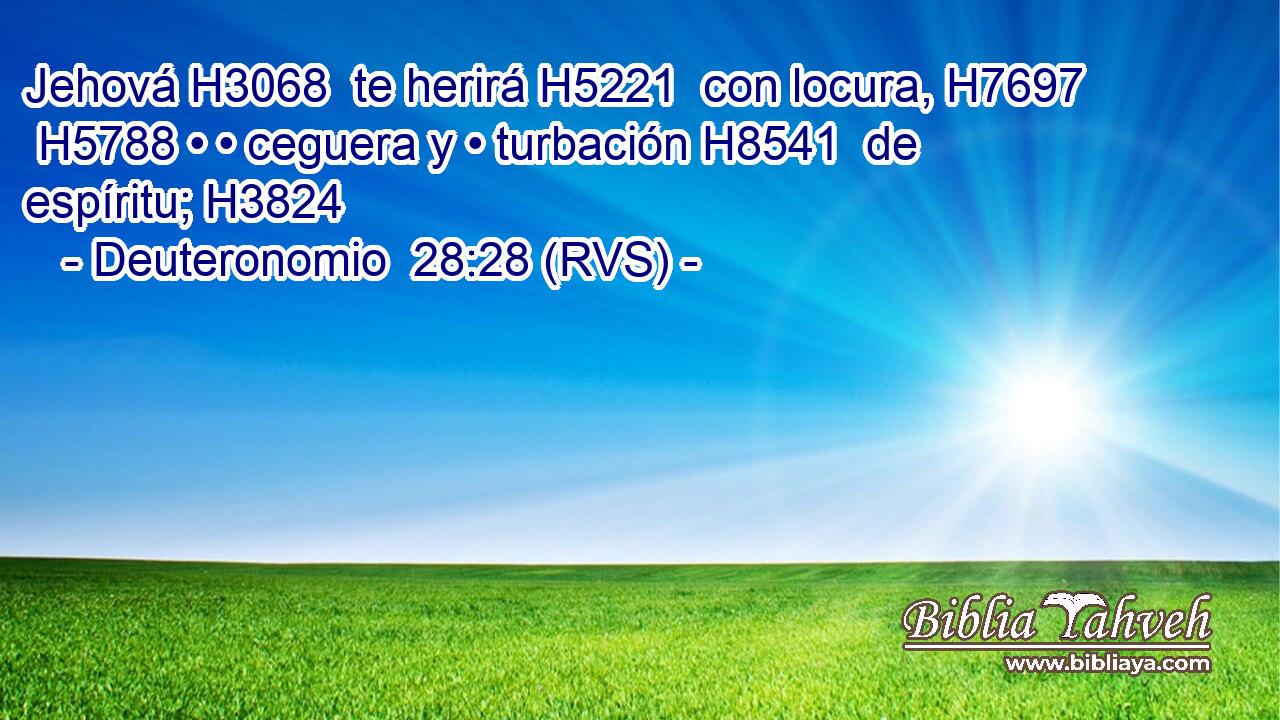 Jehová H3068  te herirá H5221  con locura, H7697  H5788 • • ceguera y • turbación H8541  de espíritu; H3824  