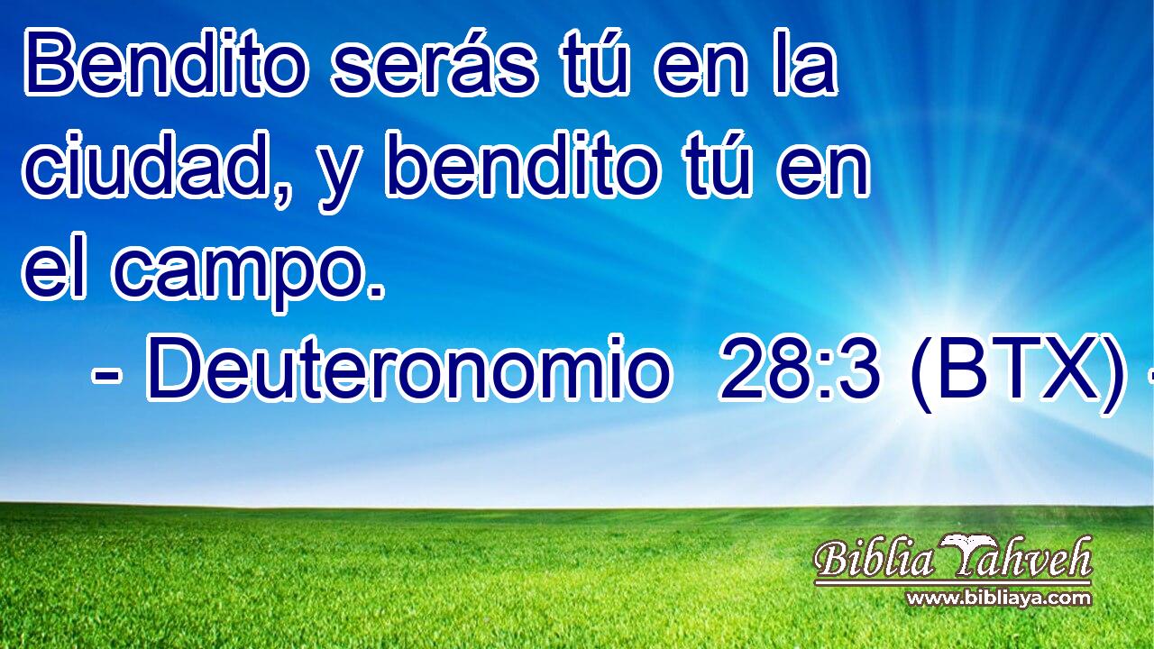 Bendito serás tú en la ciudad, y bendito tú en el campo.