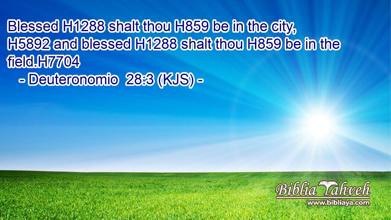Blessed H1288 shalt thou H859 be in the city, H5892 and blessed H1288 shalt thou H859 be in the field.H7704