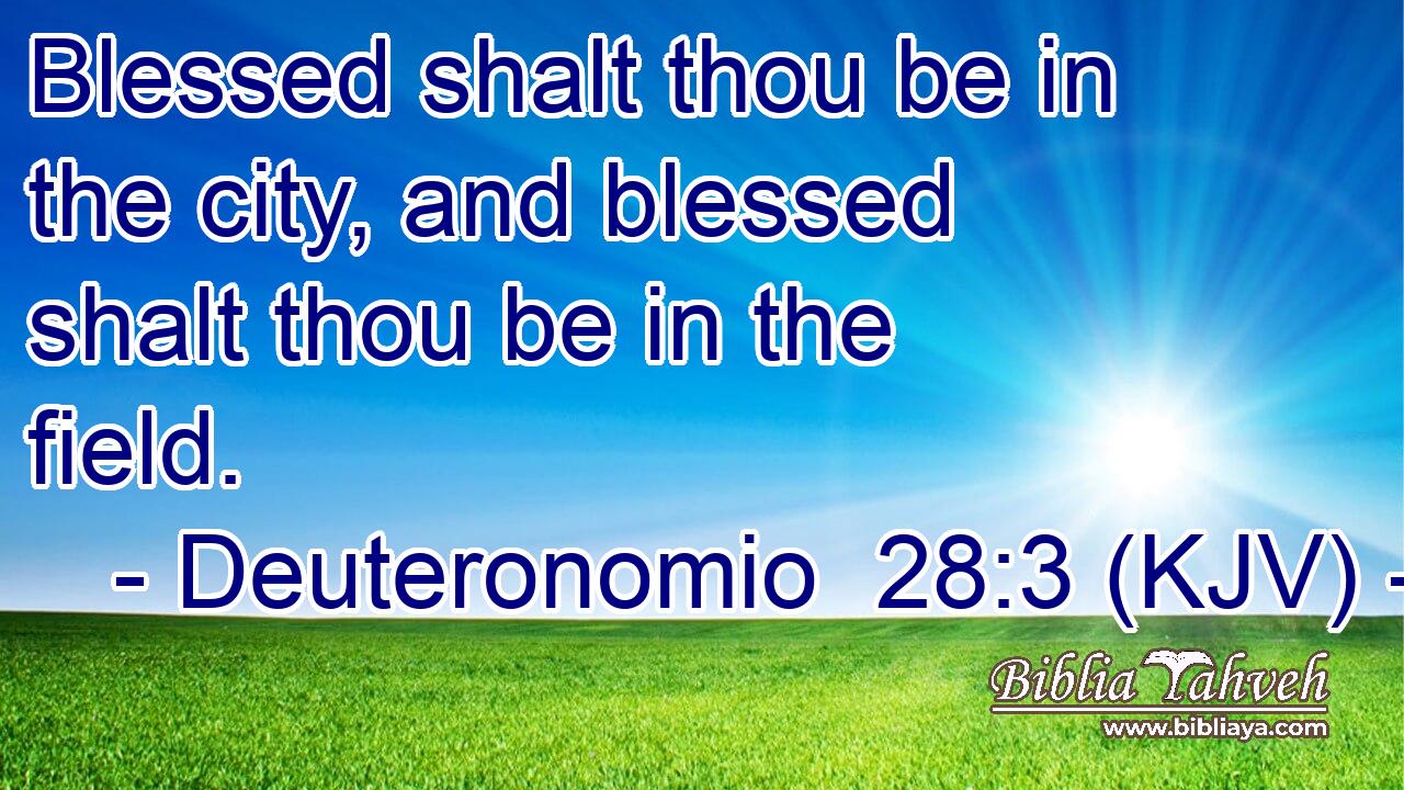 Blessed shalt thou be in the city, and blessed shalt thou be in the field.