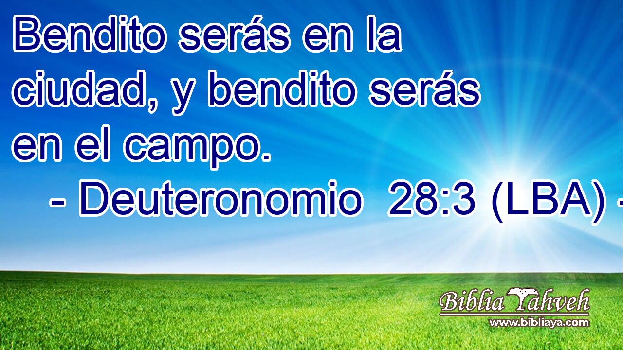 Bendito serás en la ciudad, y bendito serás en el campo.