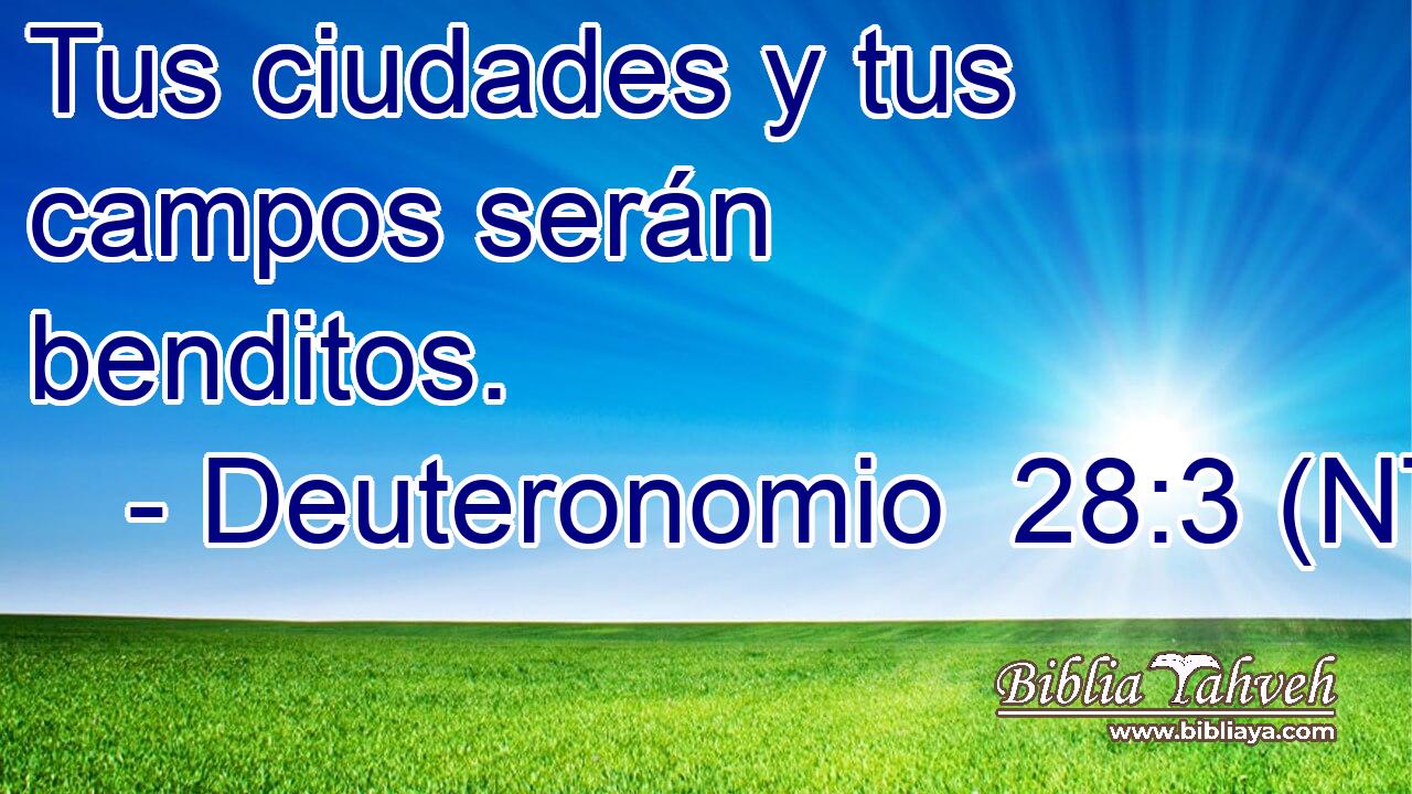 Tus ciudades y tus campos serán benditos.
