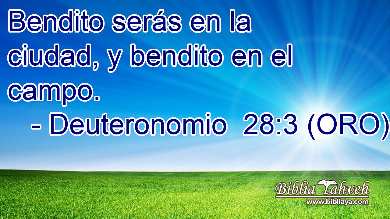  Bendito serás en la ciudad, y bendito en el campo. 