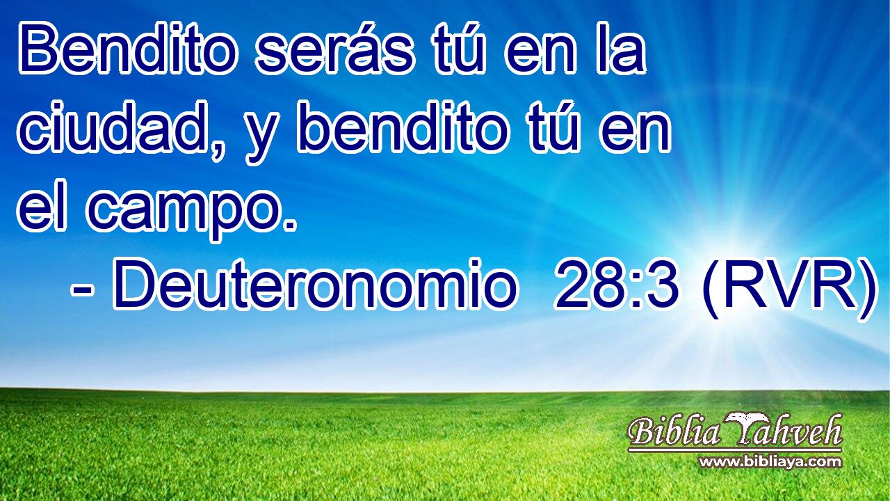 Bendito serás tú en la ciudad, y bendito tú en el campo.