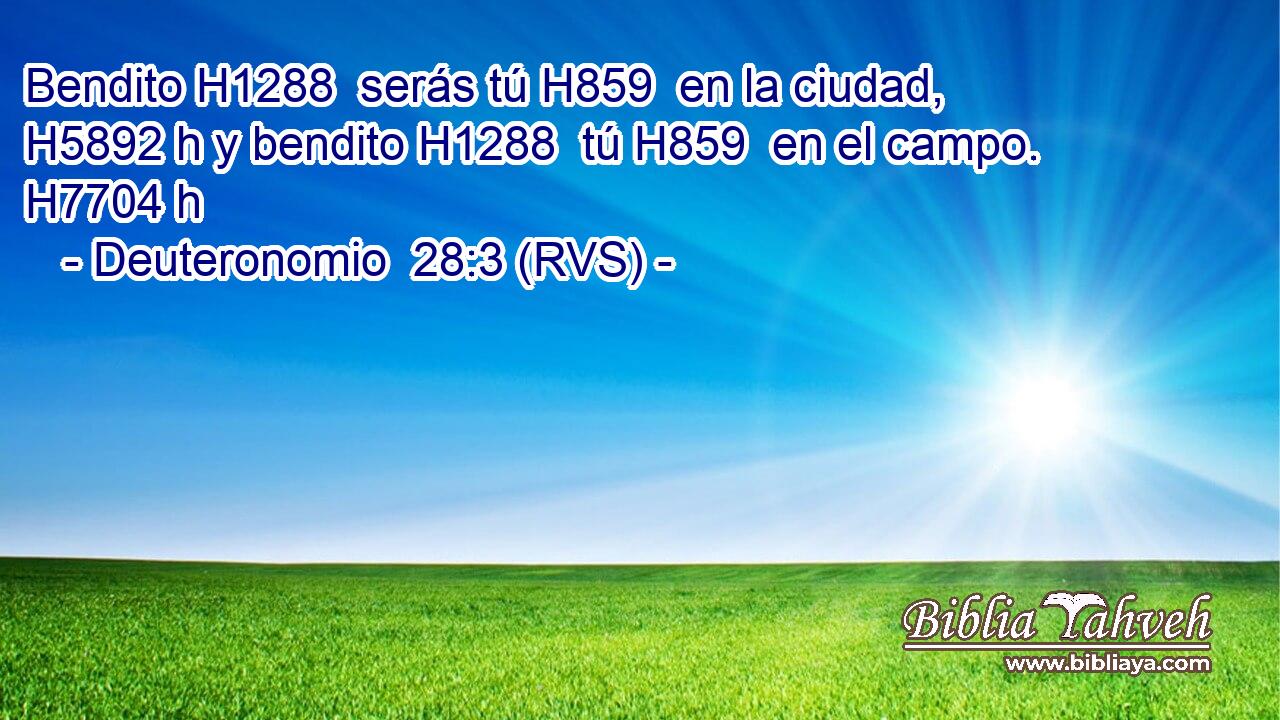 Bendito H1288  serás tú H859  en la ciudad, H5892 h y bendito H1288  tú H859  en el campo. H7704 h 