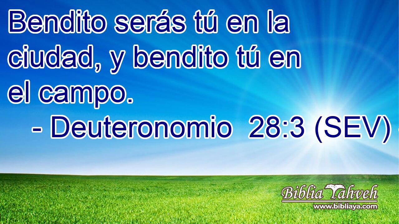 Bendito serás tú en la ciudad, y bendito tú en el campo.