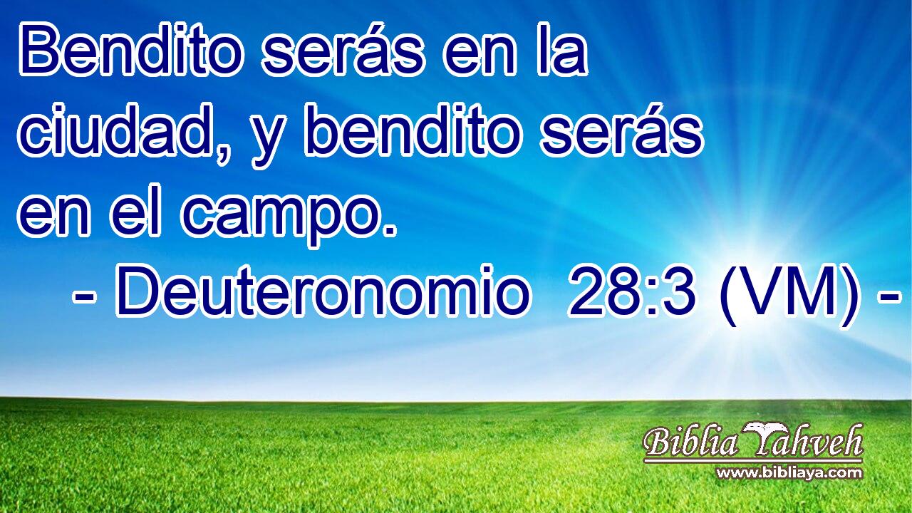  Bendito serás en la ciudad, y bendito serás en el campo. 