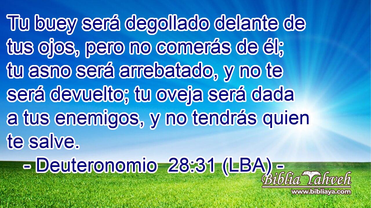 Tu buey será degollado delante de tus ojos, pero no comerás de él; tu asno será arrebatado, y no te será devuelto; tu oveja será dada a tus enemigos, y no tendrás quien te salve.