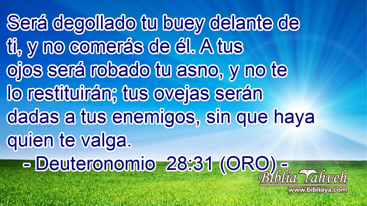  Será degollado tu buey delante de ti, y no comerás de él. A tus ojos será robado tu asno, y no te lo restituirán; tus ovejas serán dadas a tus enemigos, sin que haya quien te valga. 