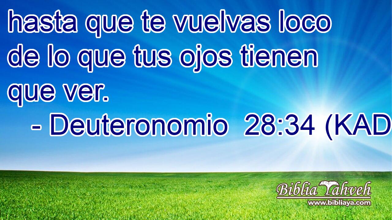  hasta que te vuelvas loco de lo que tus ojos tienen que ver. 