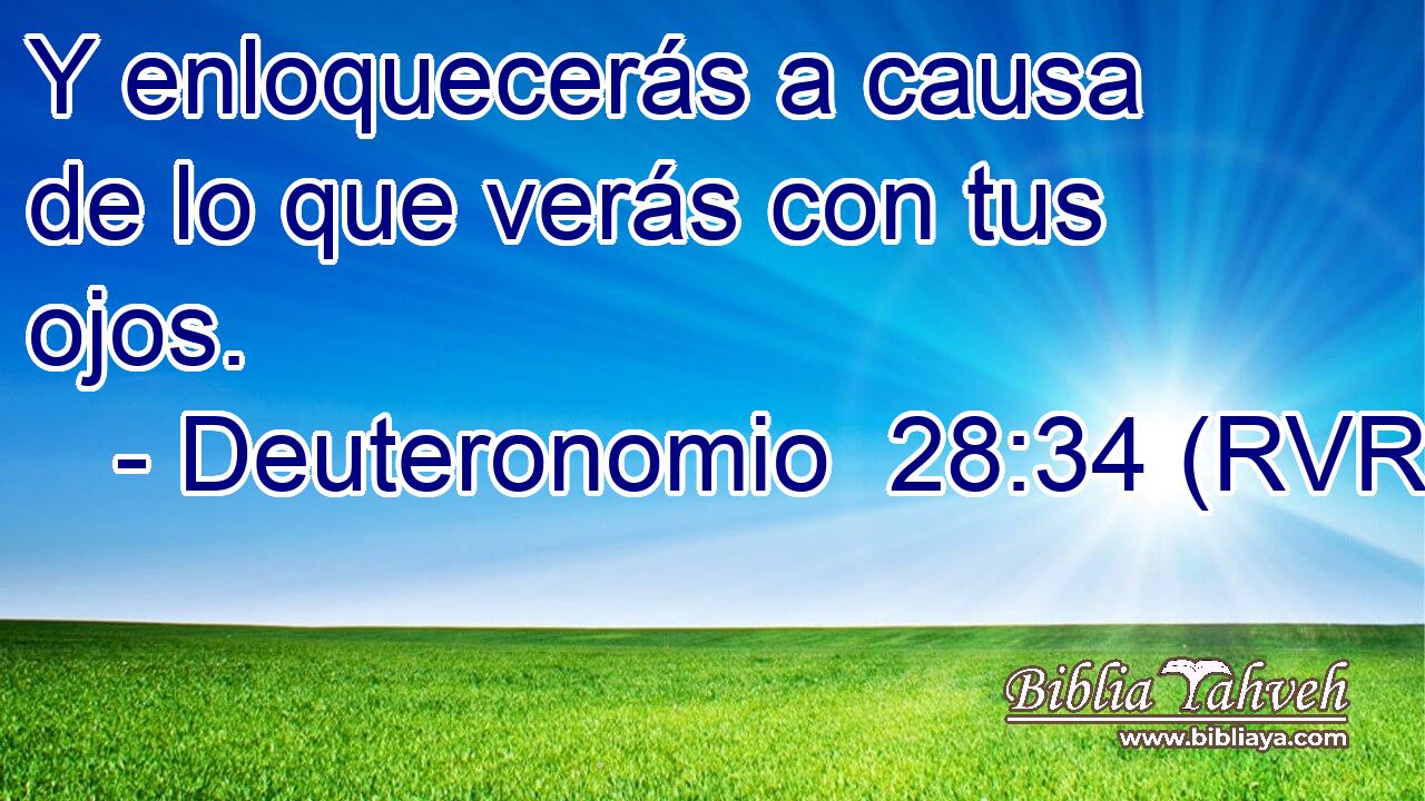 Y enloquecerás a causa de lo que verás con tus ojos.